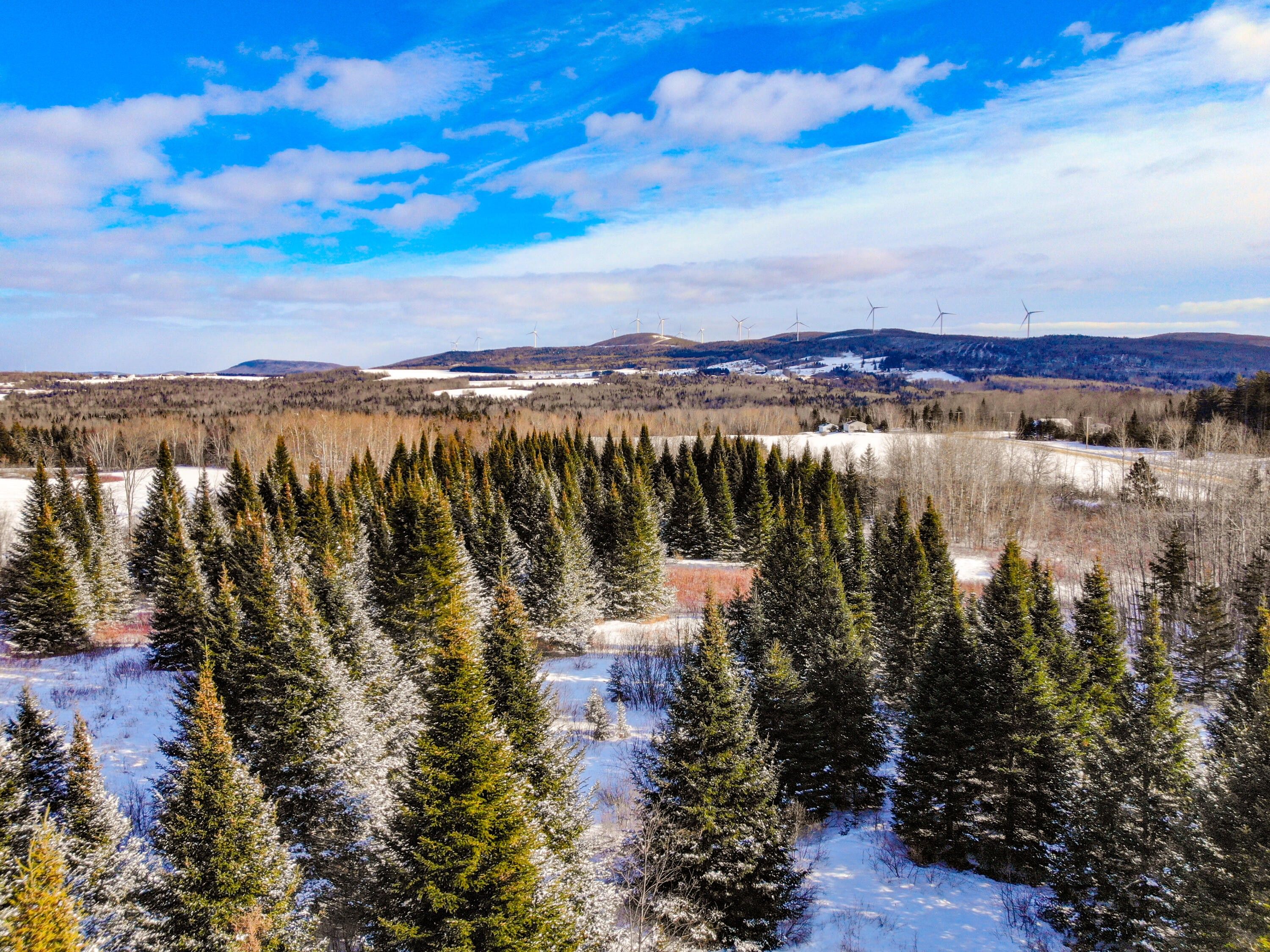 19 acres in Aroostook County, Maine