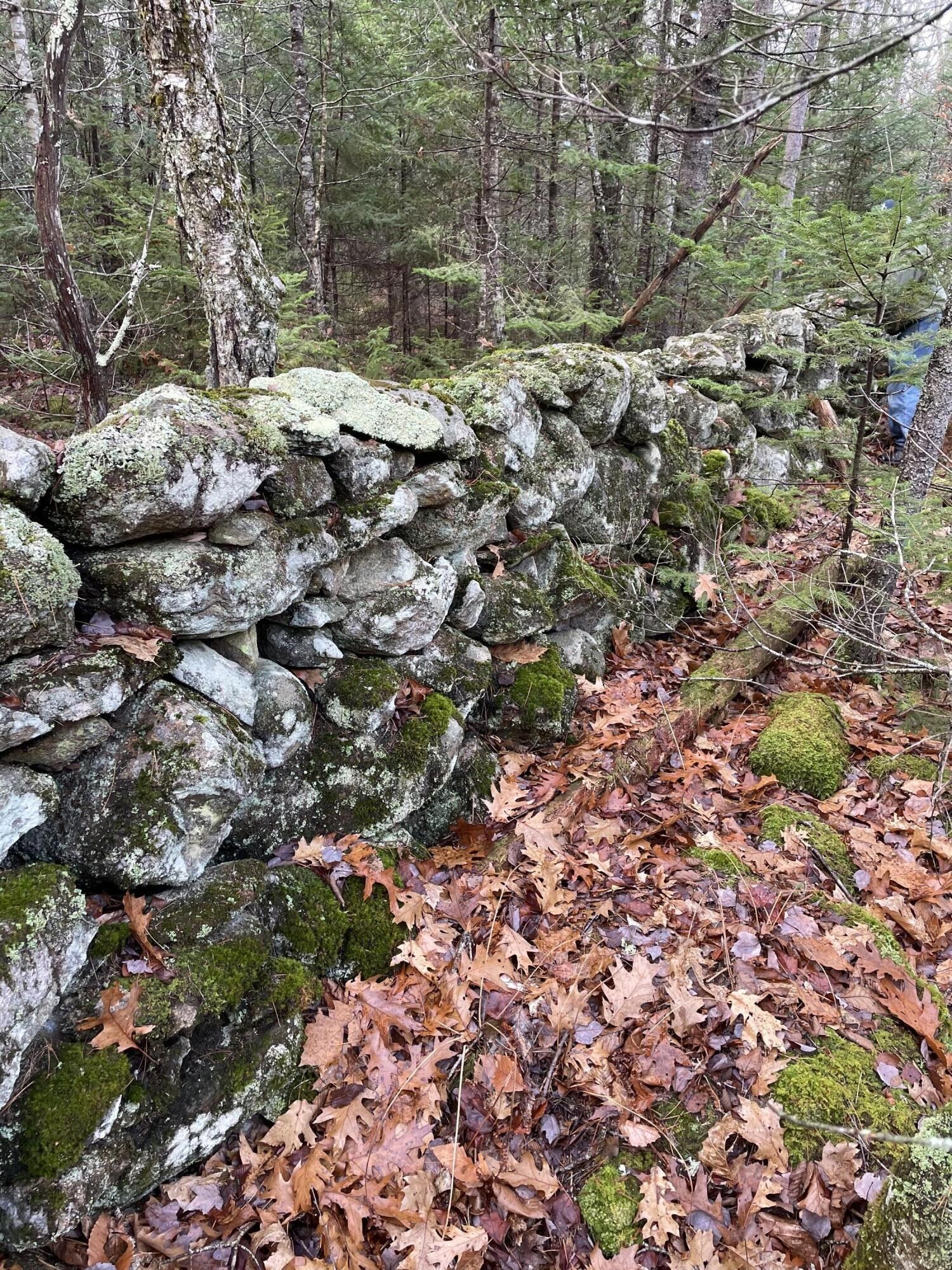 47 acres in Knox County, Maine