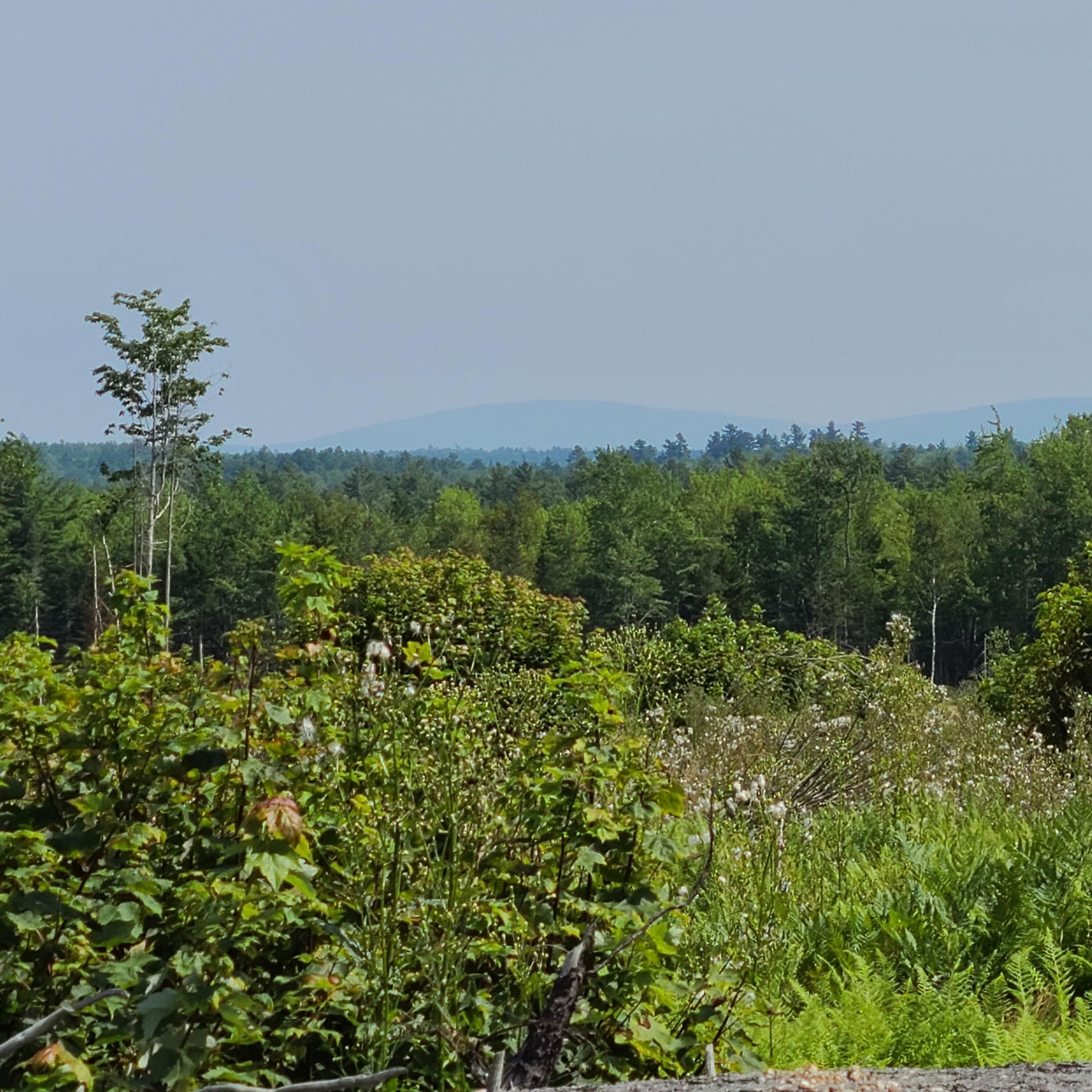 100 acres in Hancock County, Maine