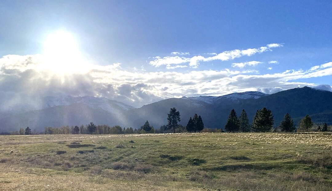 20 acres in Ravalli County, Montana