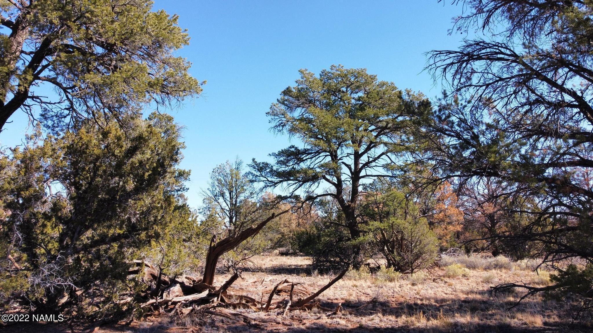 10 acres in Coconino County, Arizona