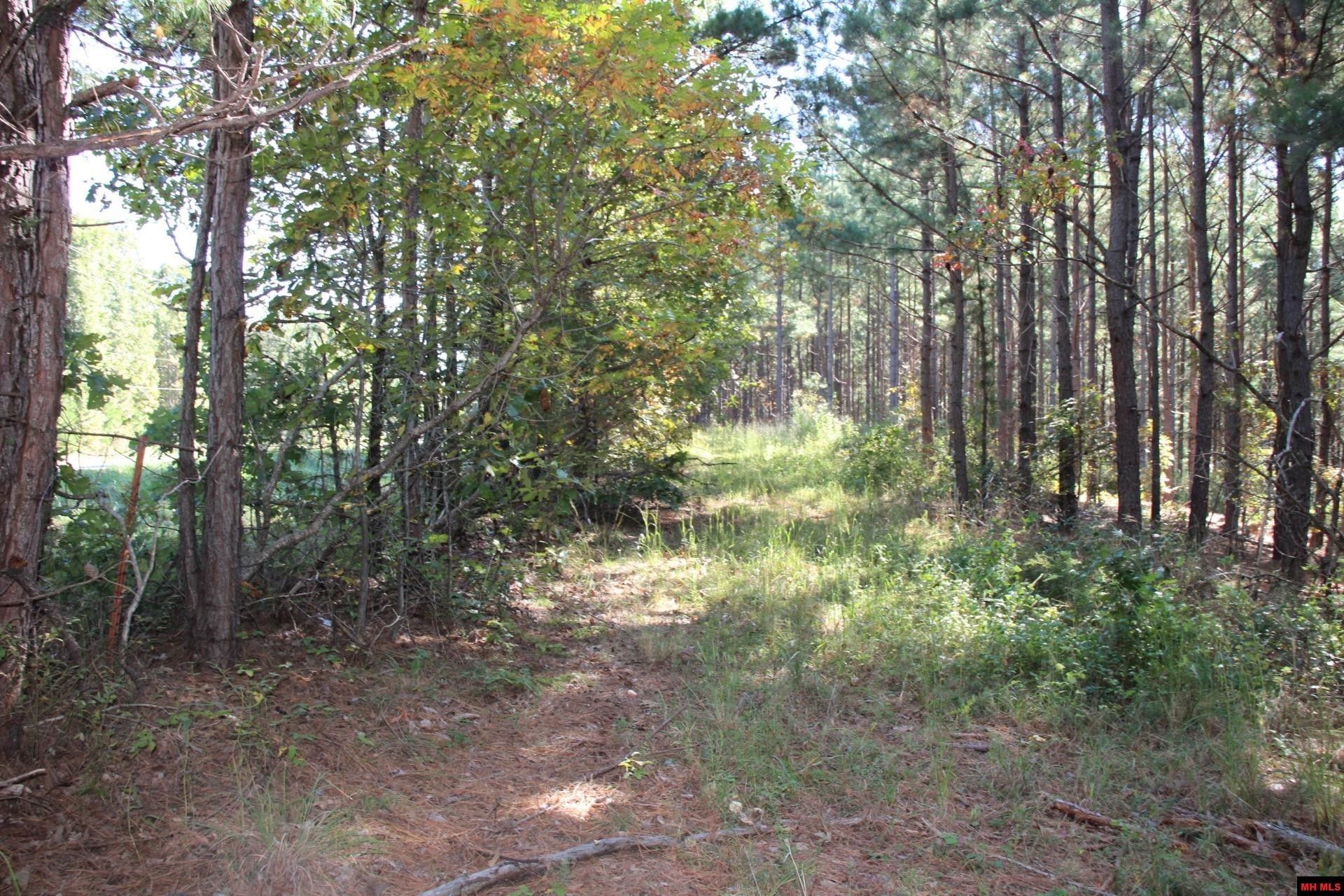 15 acres in Marion County, Arkansas