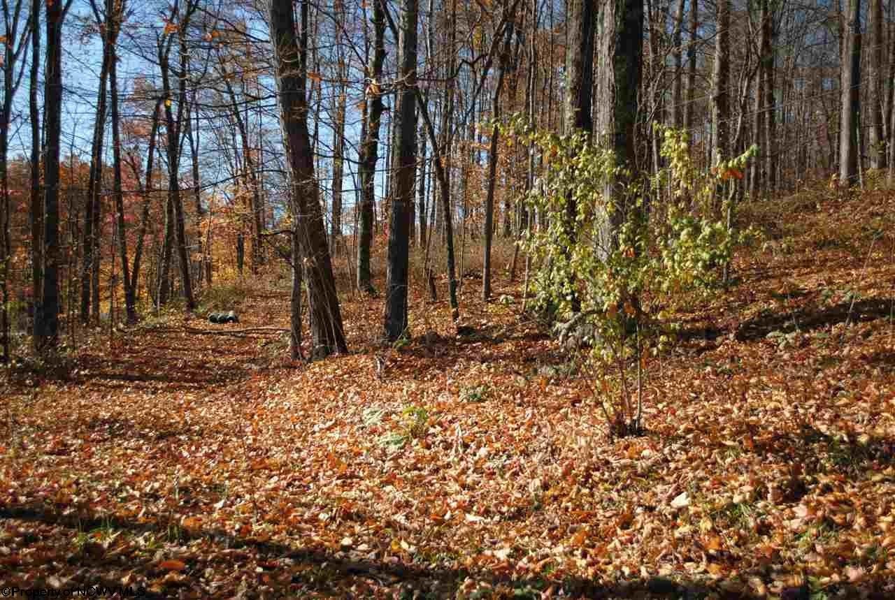 5 acres in Barbour County, West Virginia