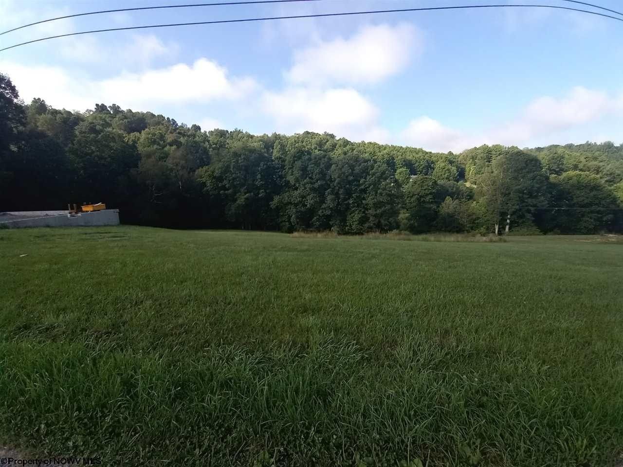 2 acres in Taylor County, West Virginia