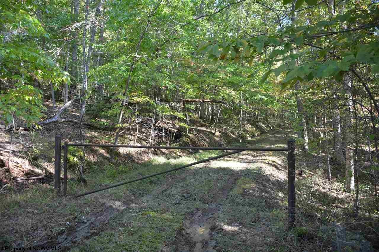 91 acres in Lewis County, West Virginia