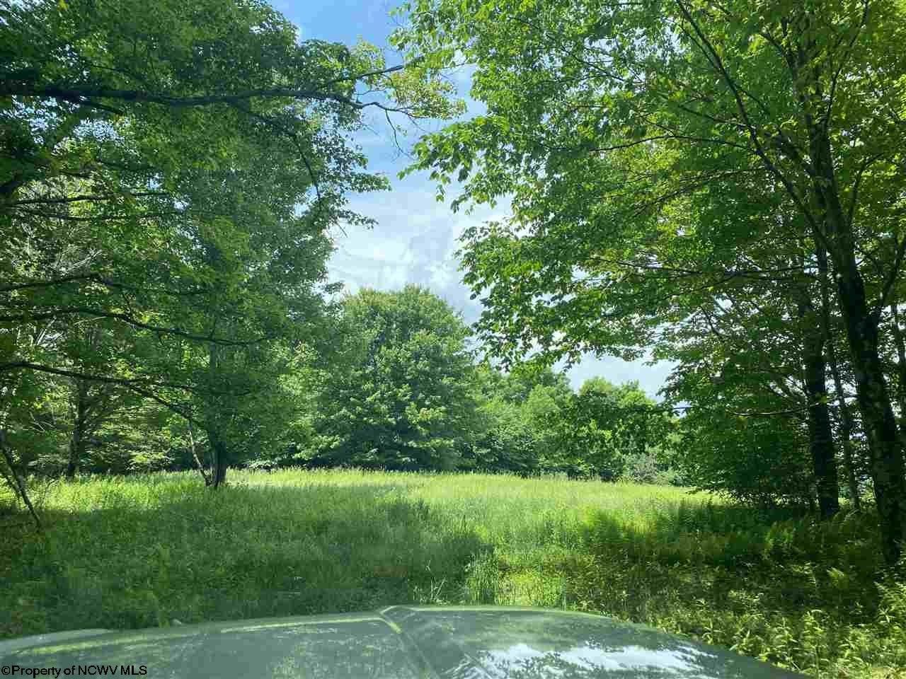 4.38 acres in Pocahontas County, West Virginia