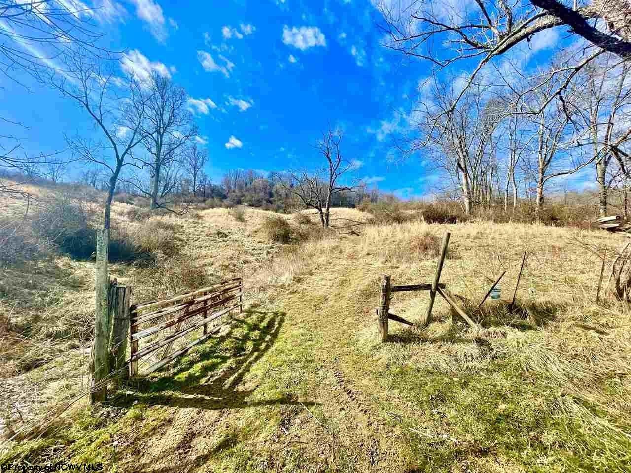 5 acres in Taylor County, West Virginia