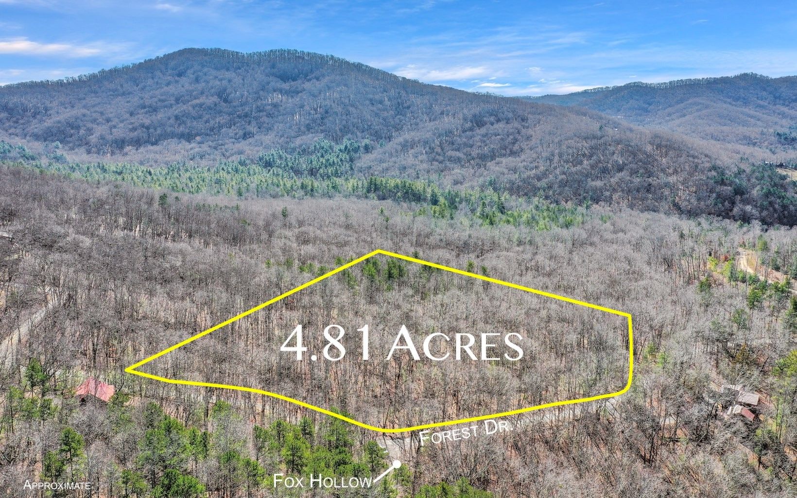 4.81 acres in Fannin County,