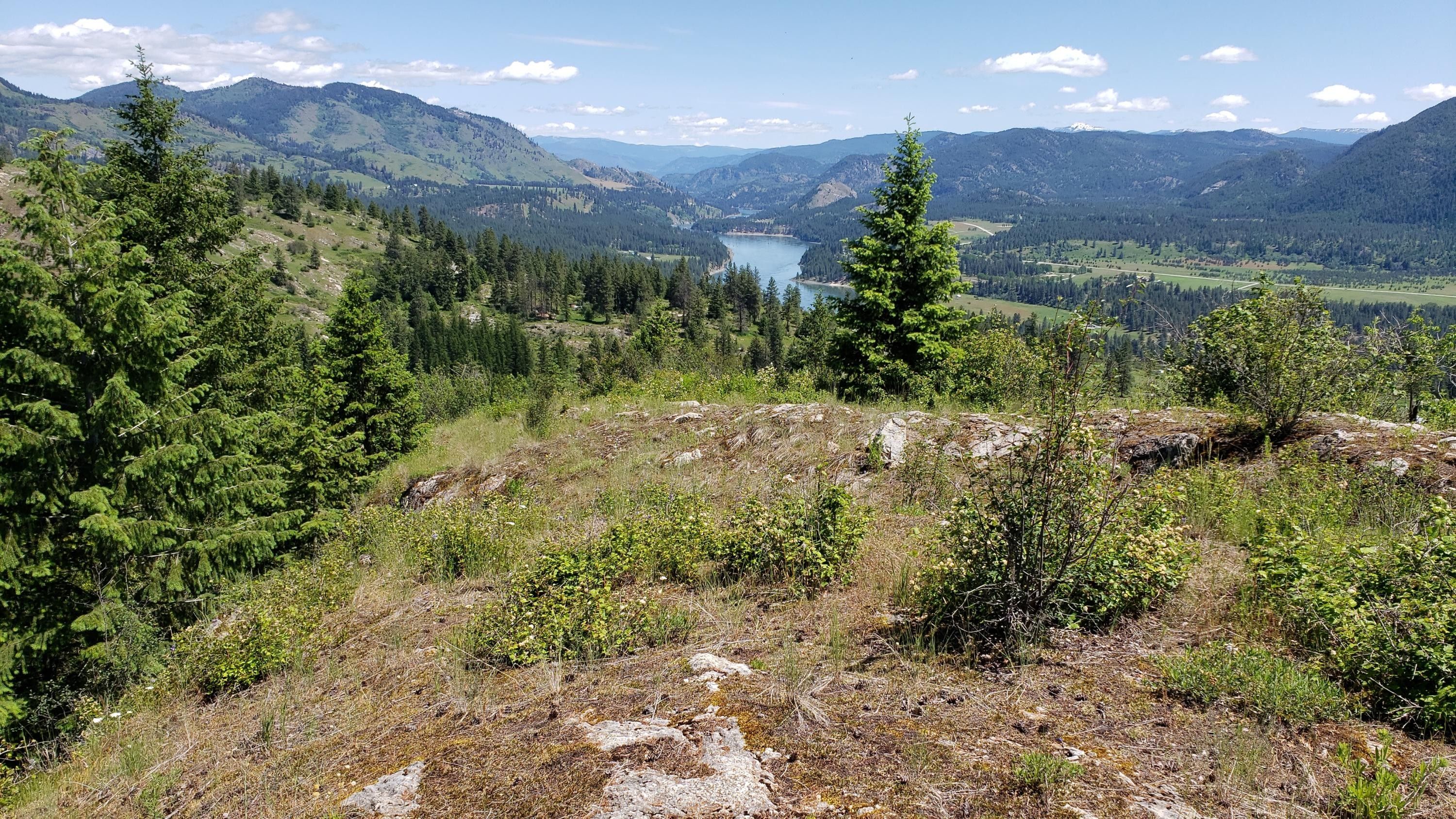 20 acres in Stevens County, Washington