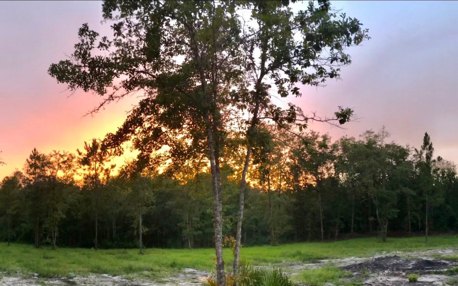 40 acres in Columbia County, Florida