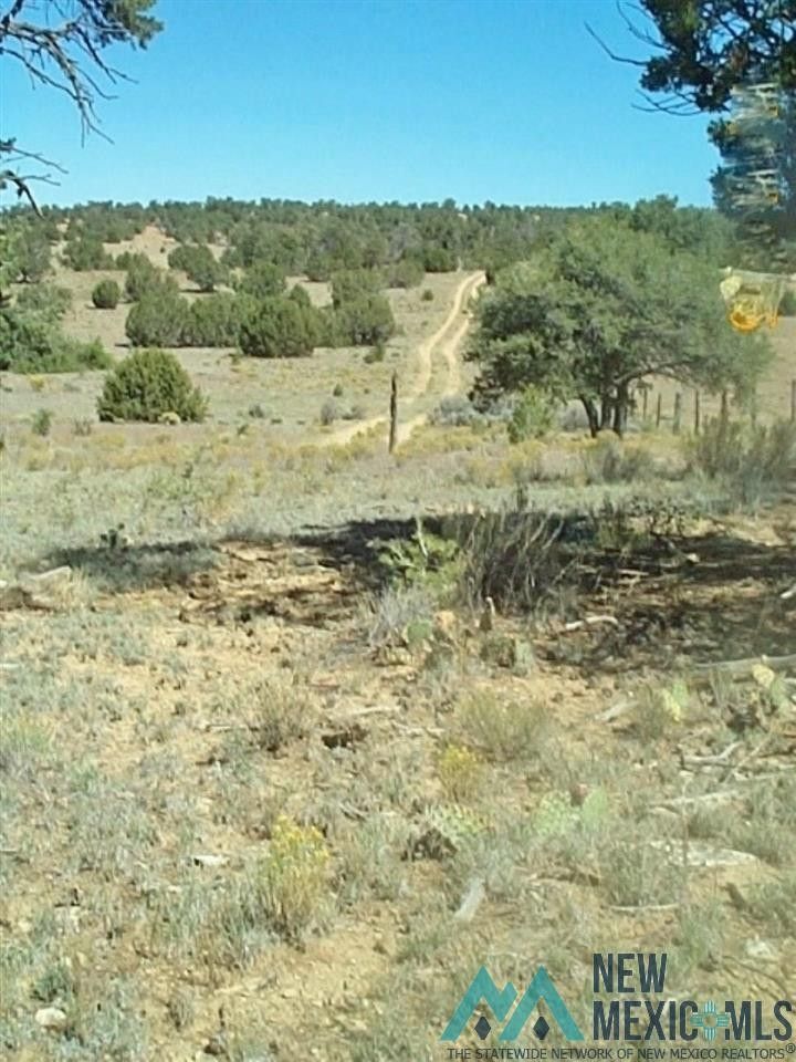 406 acres in Cibola County, New Mexico
