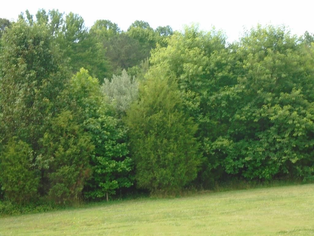 5.48 acres in Northumberland County, Virginia