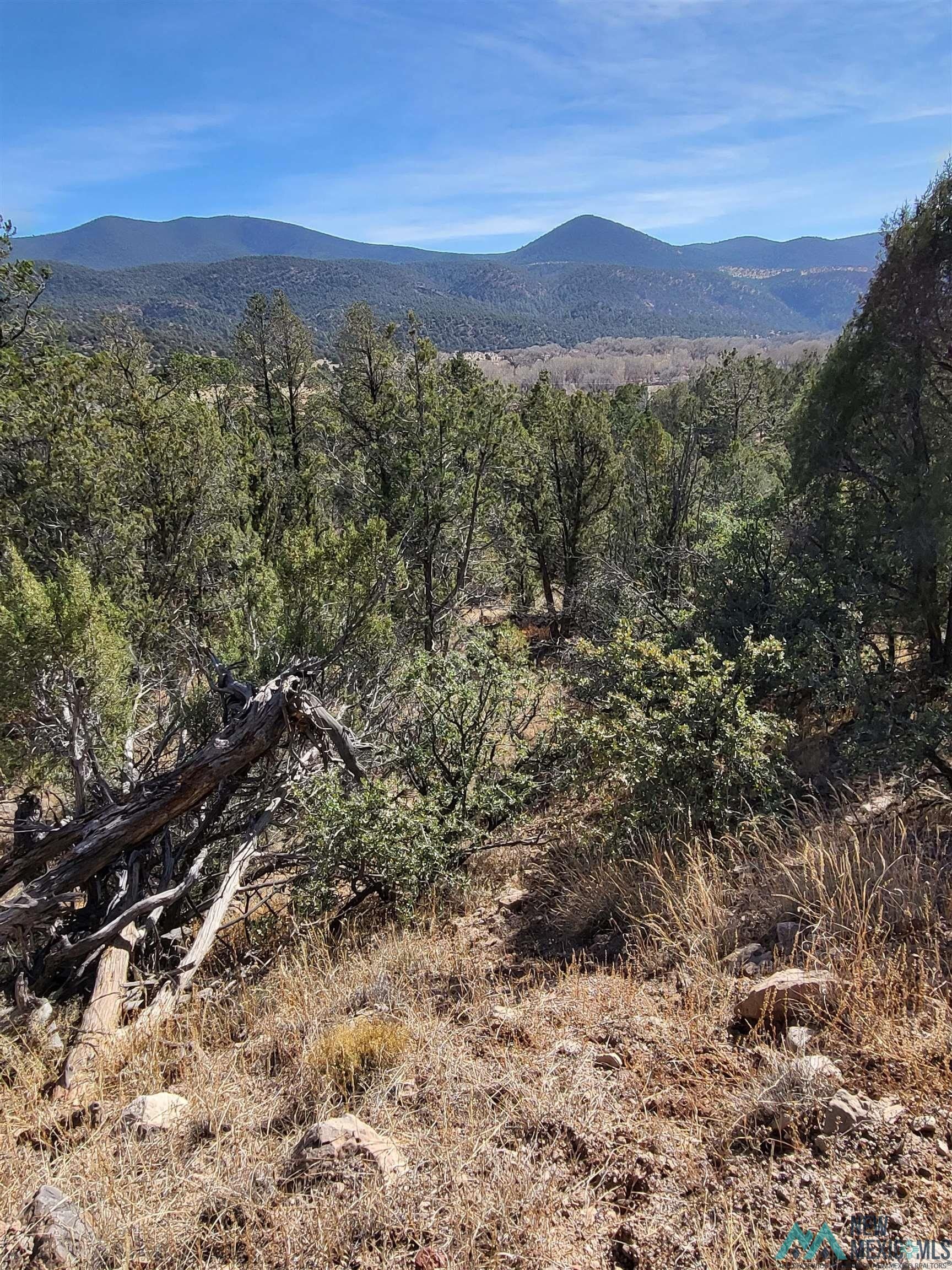 21 acres in Catron County, New Mexico