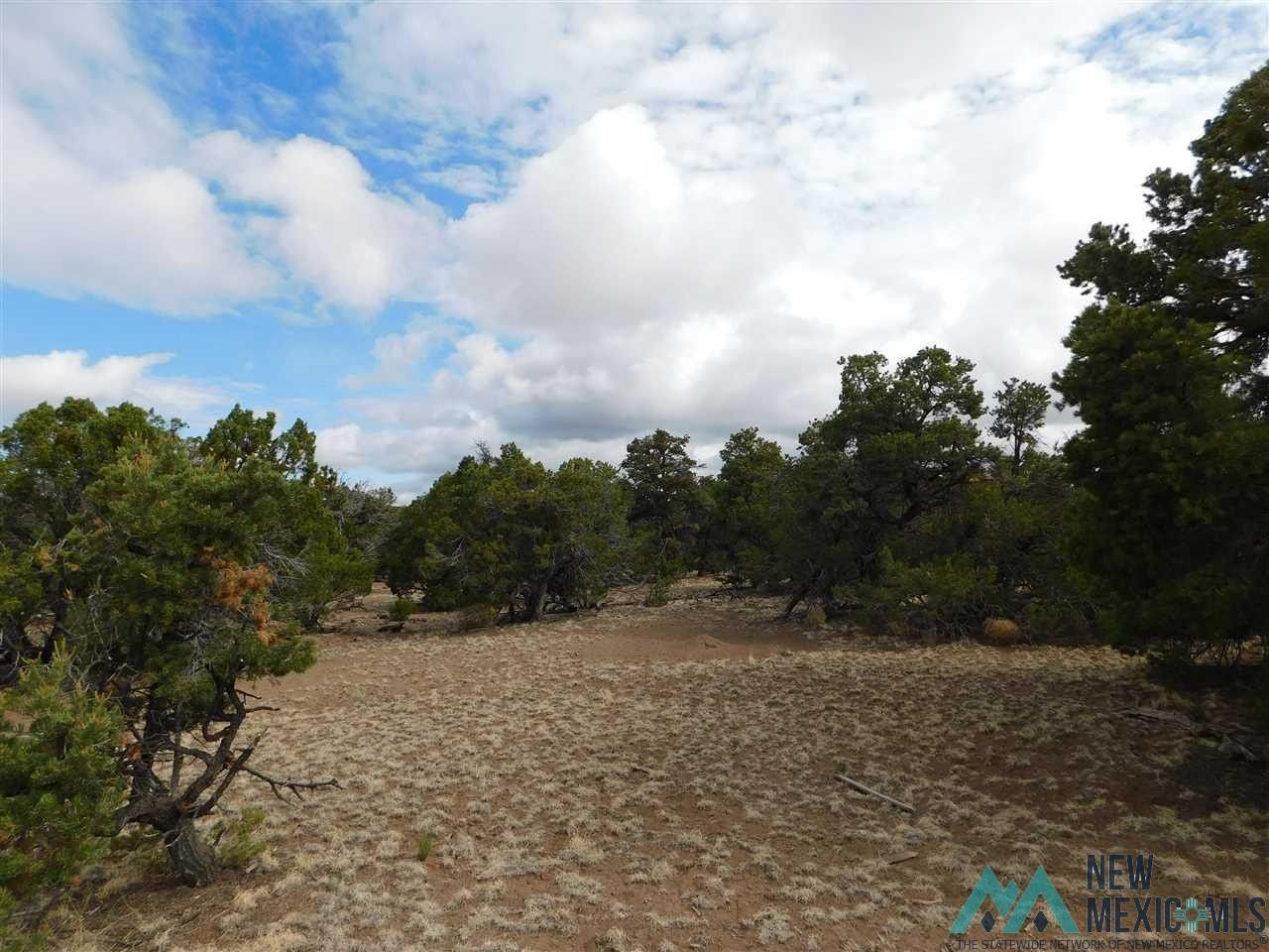 3.3 acres in Catron County, New Mexico