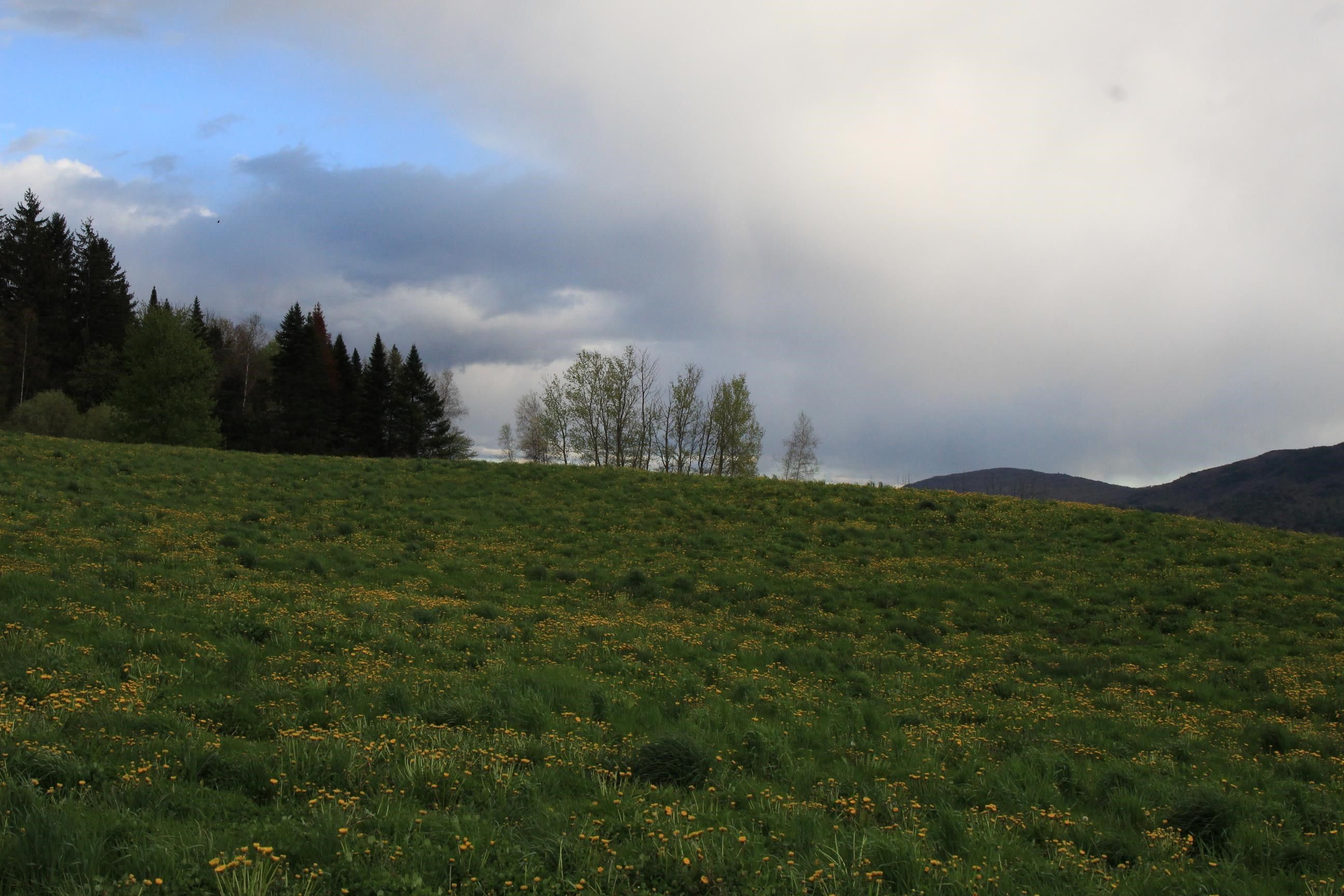 70 acres in Addison County, Vermont