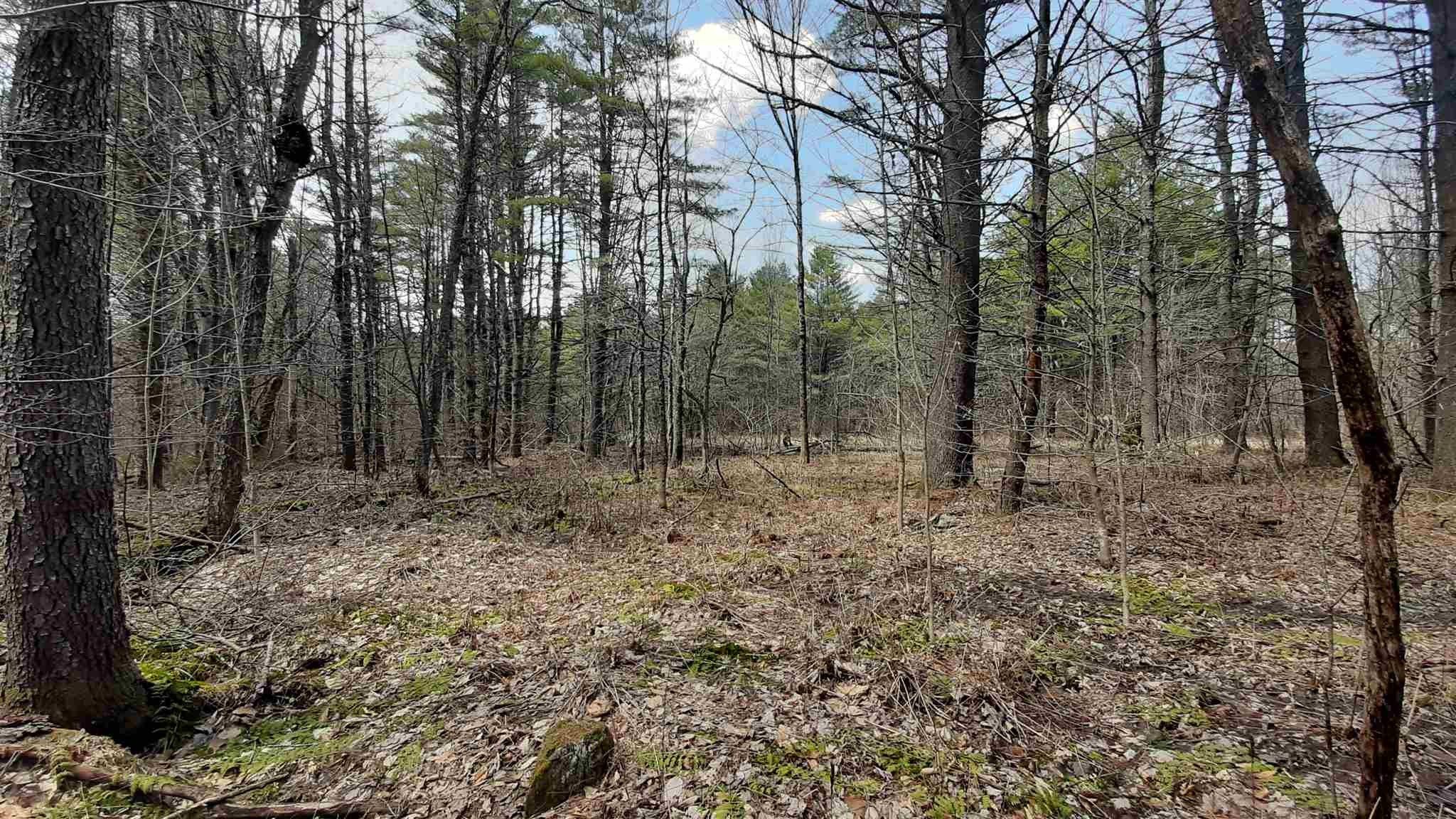 66 acres in Windsor County, Vermont