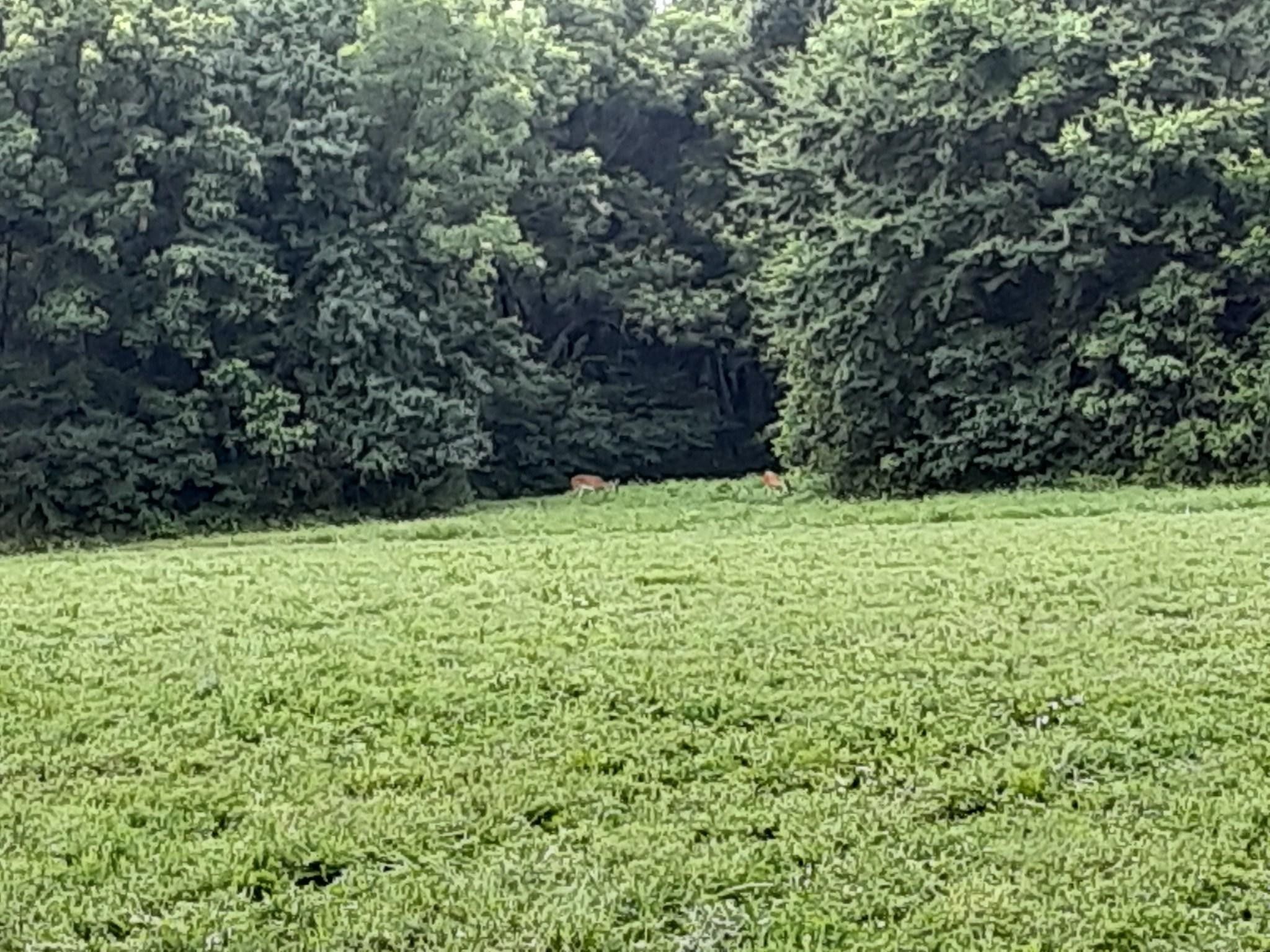 TBD W 775 Road, Tahlequah, OK 74464 MLS 211556