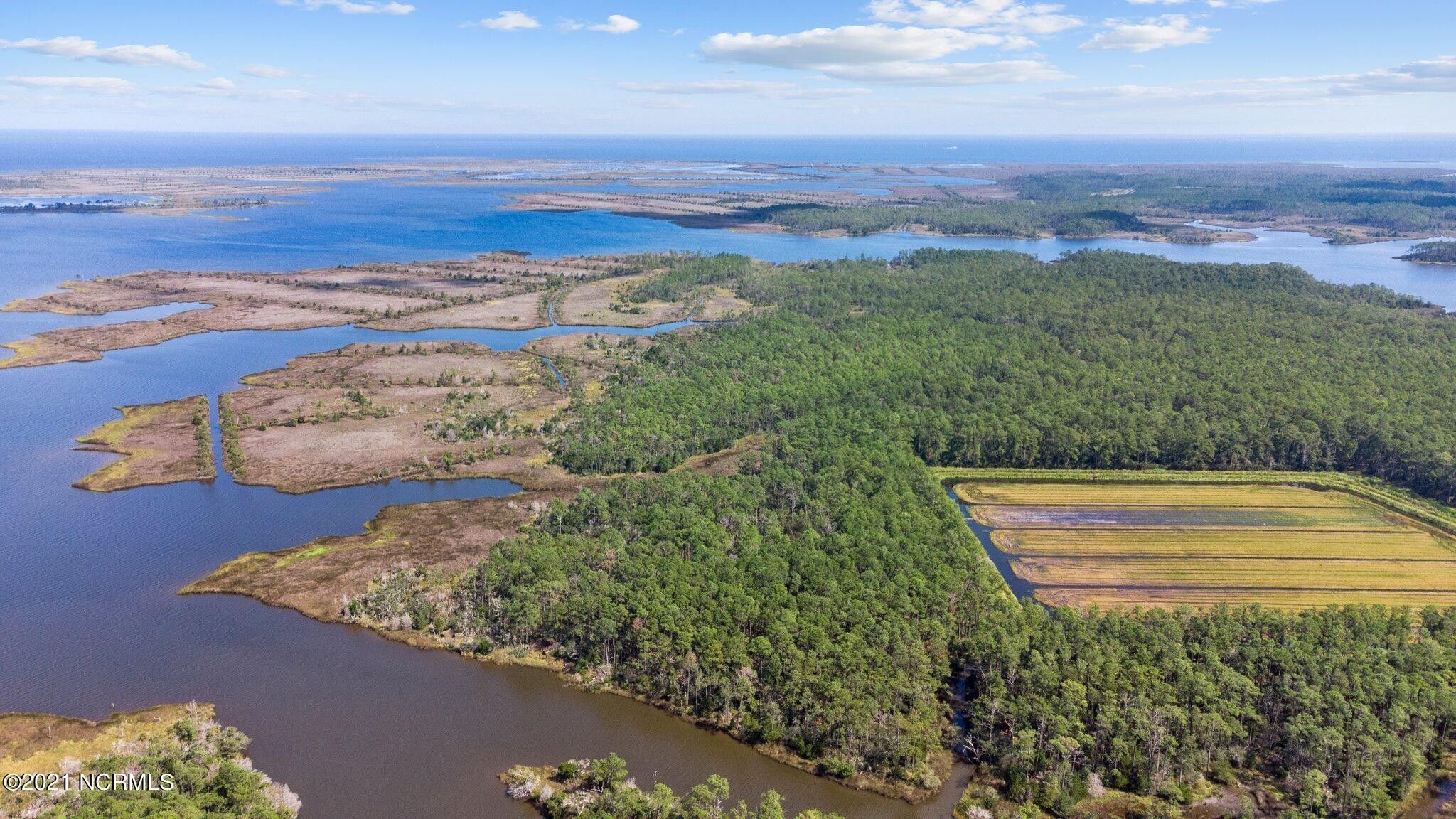66.42 acres in Pamlico County, North Carolina
