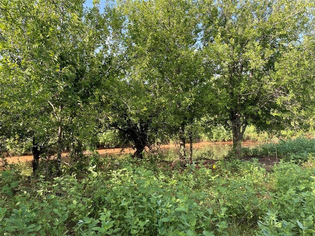 16 acres in Jones County, Texas