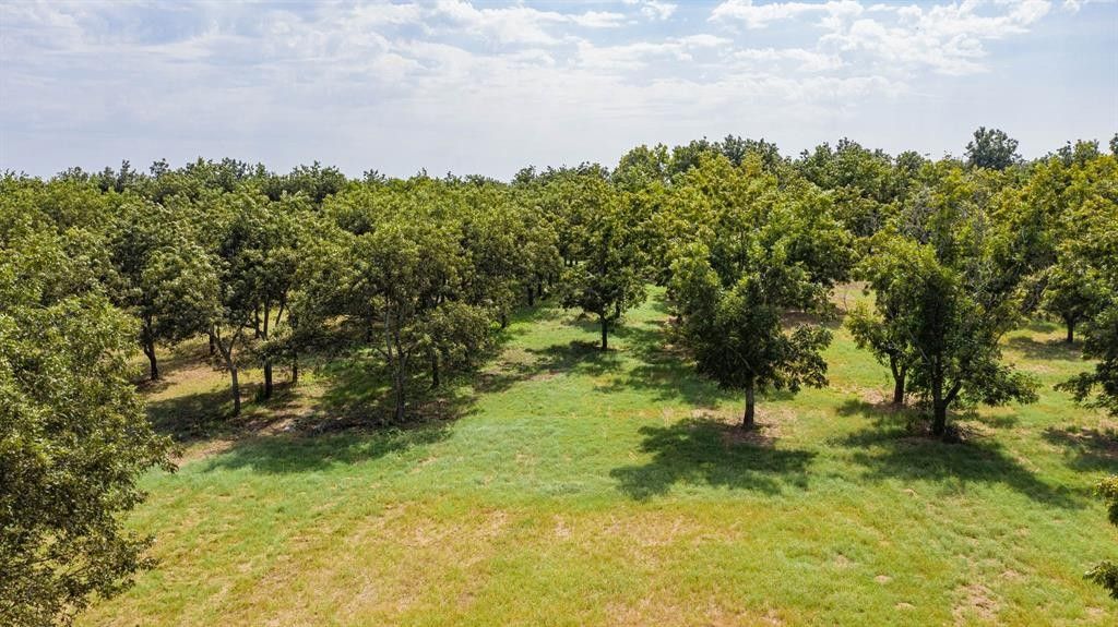 33.74 acres in Comanche County, Texas