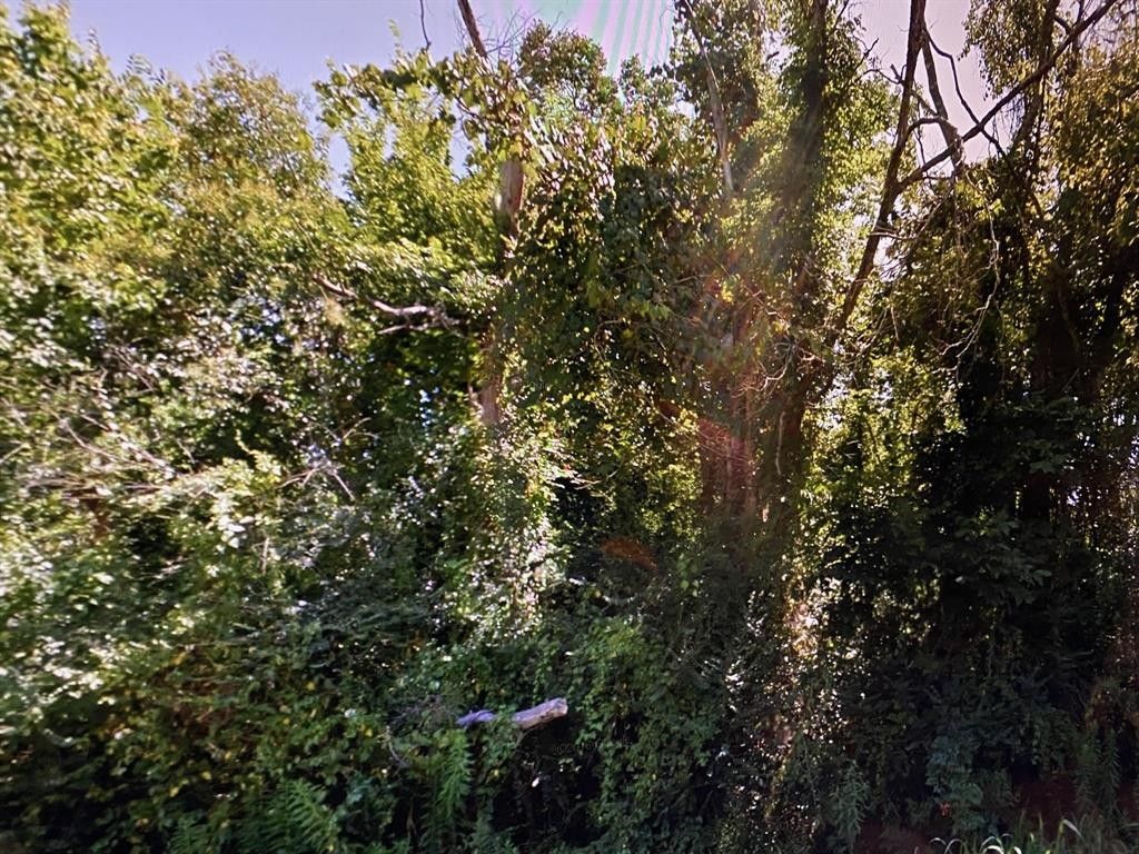 20 acres in cherokee county texas
