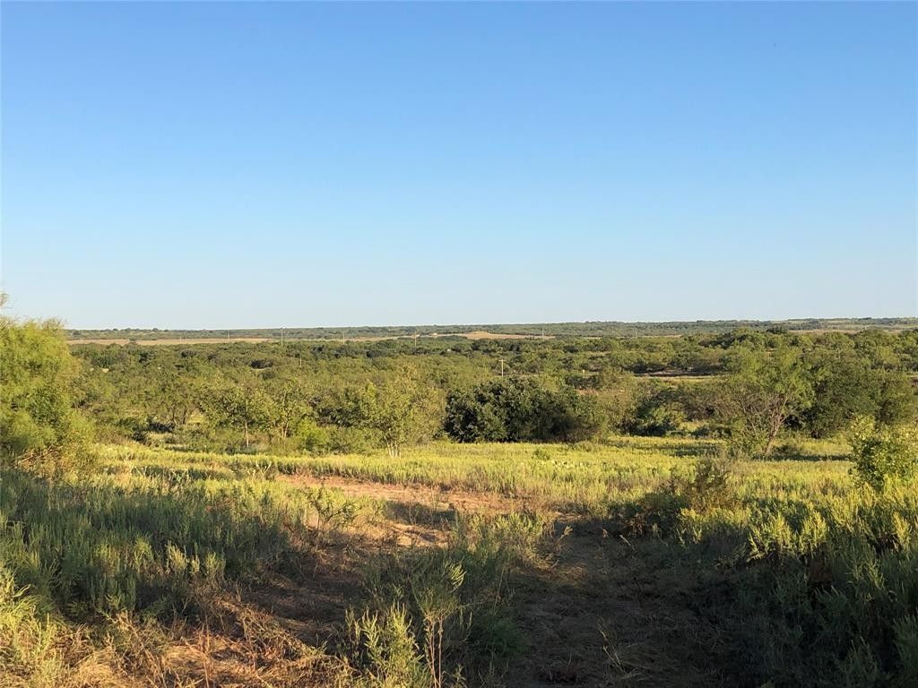 204 acres in Callahan County, Texas