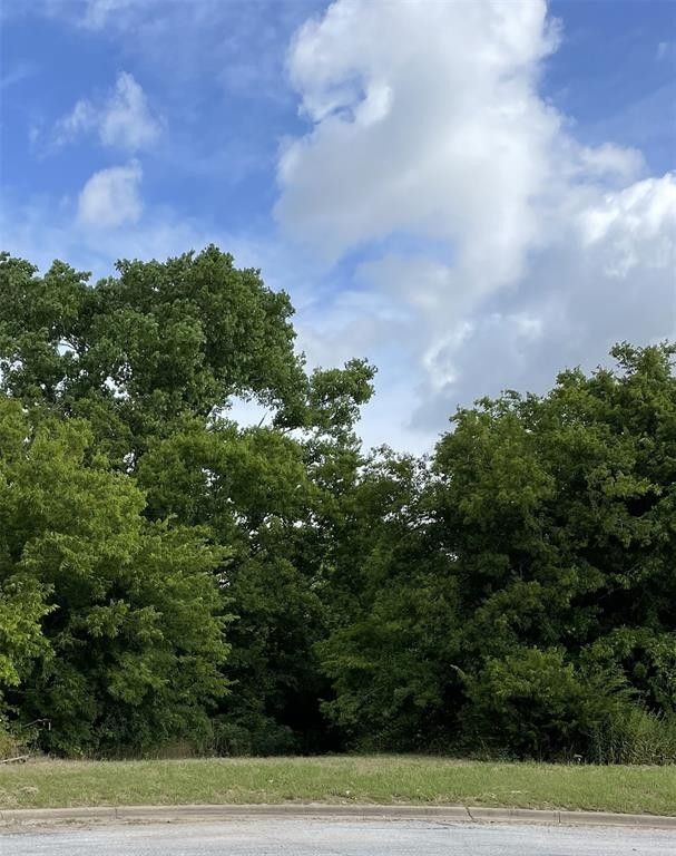 Unimproved Land Godley, TX