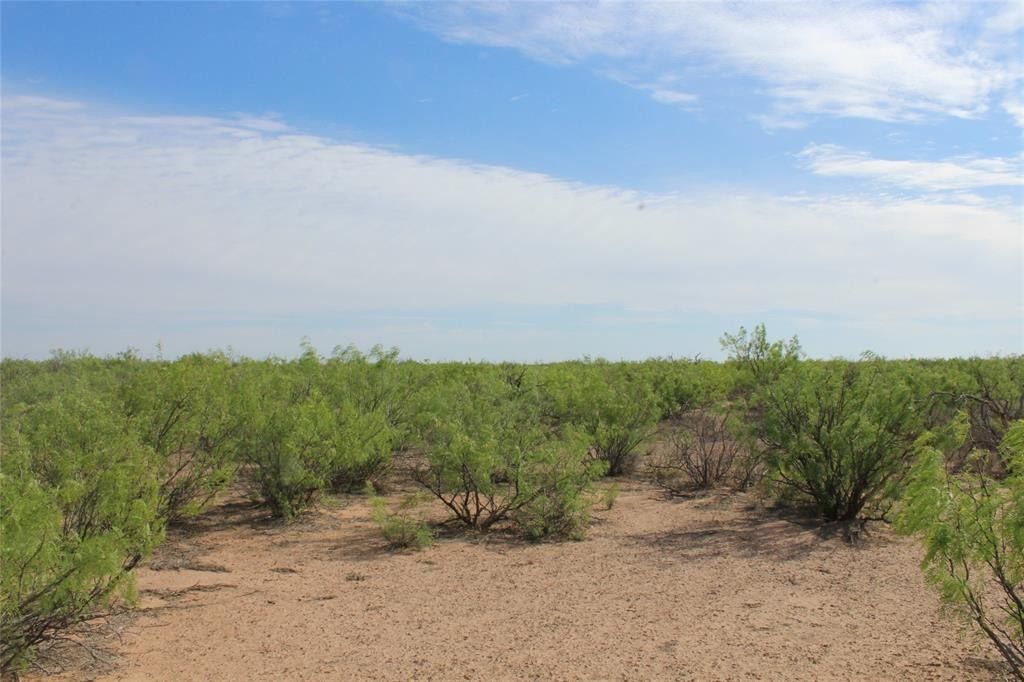380 acres in Pecos County, Texas