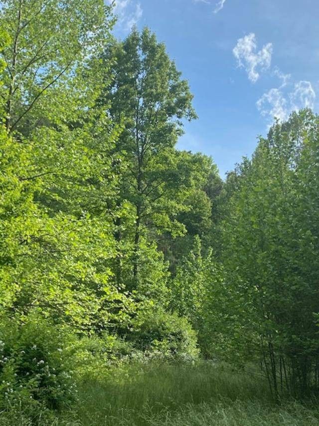 43 acres in Elliott County, Kentucky