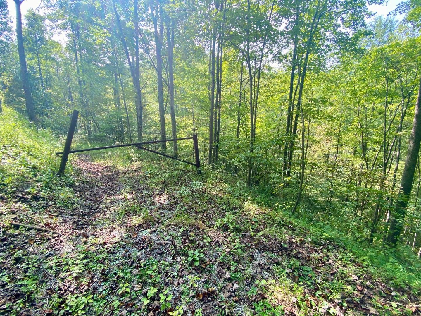 82 acres in Gilmer County, West Virginia