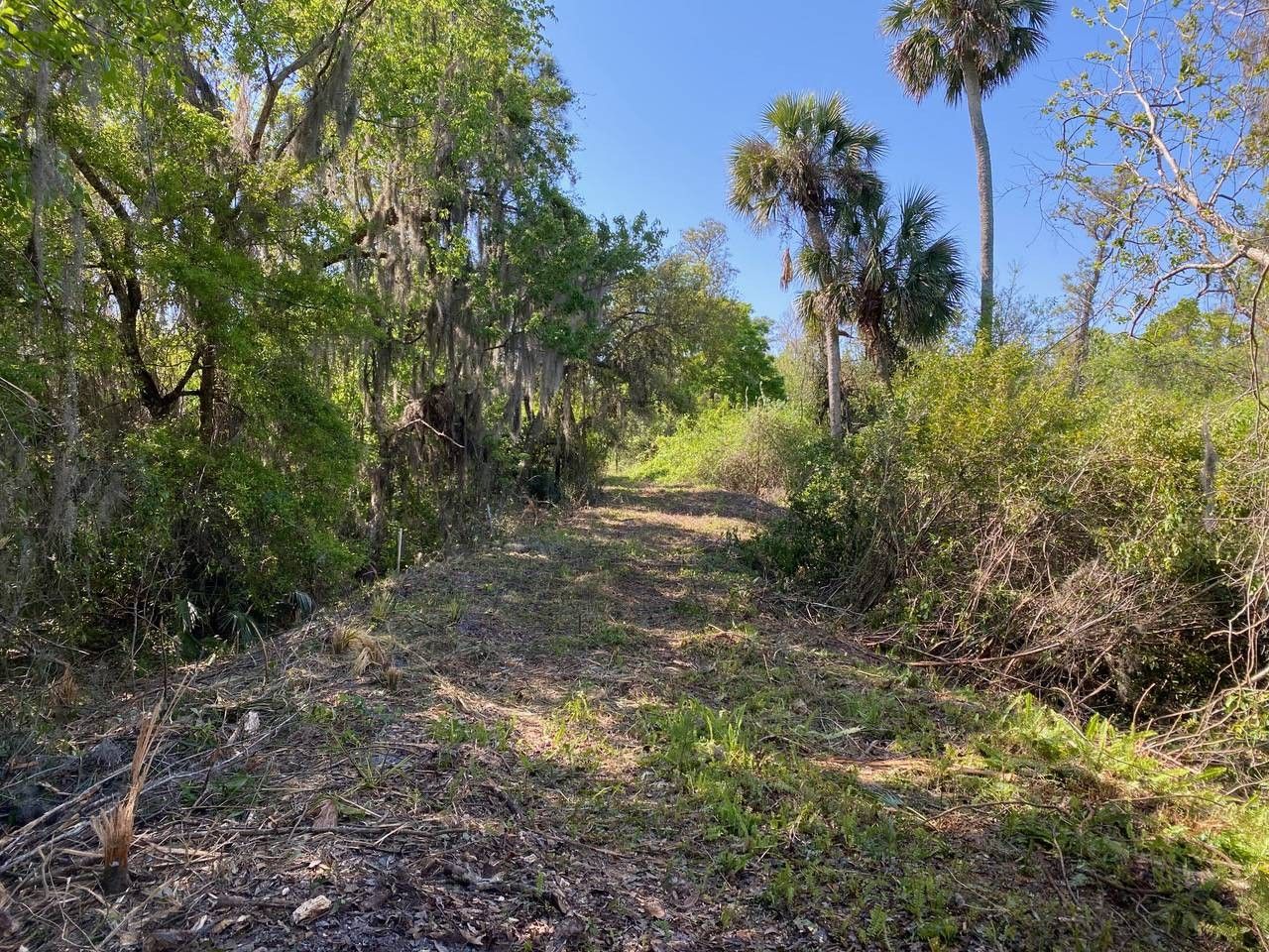 5 acres in Volusia County, Florida