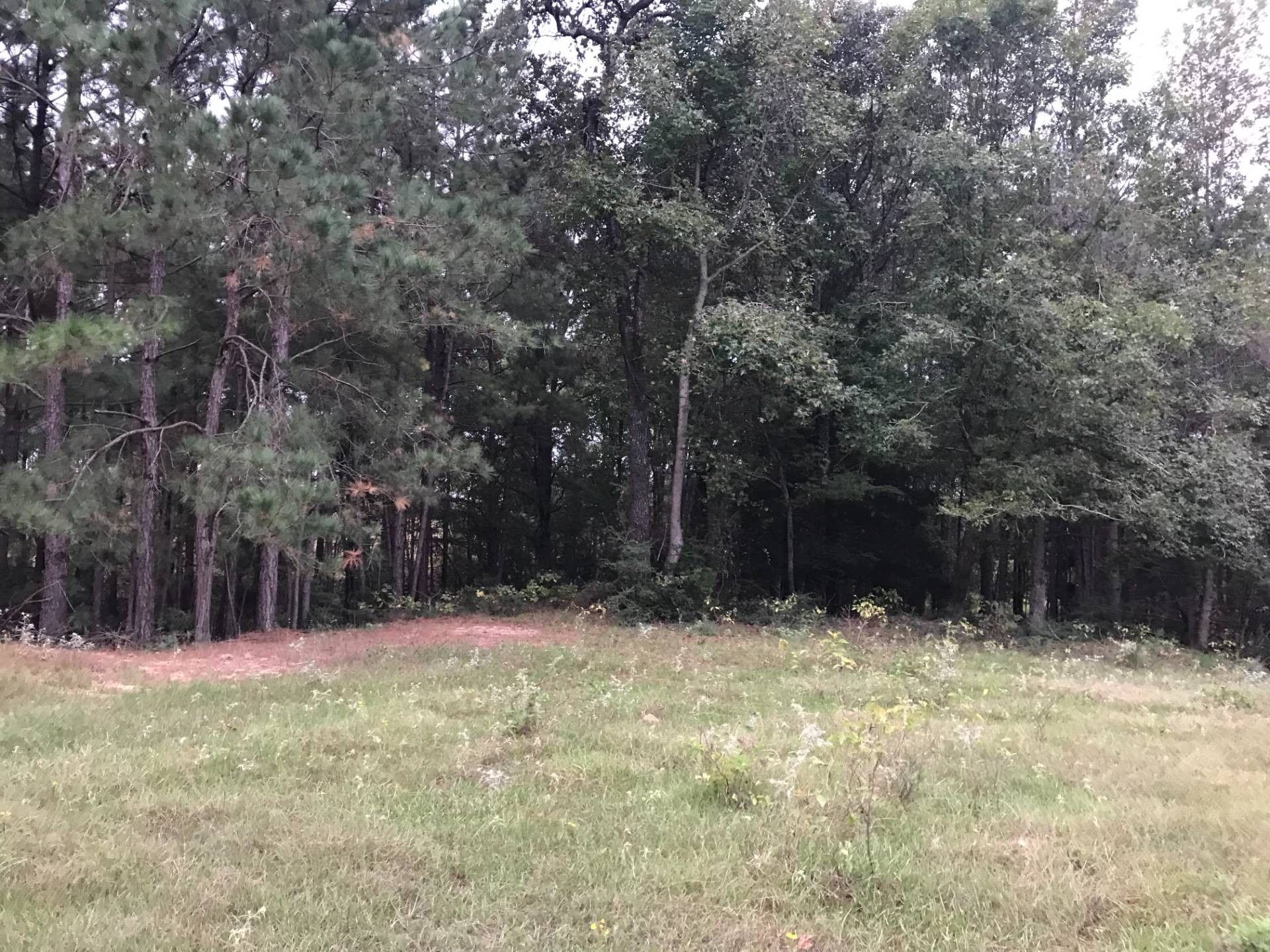 40 acres in Sabine Parish, Louisiana