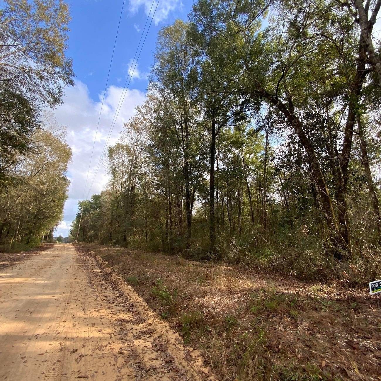 40 acres in Holmes County, Florida
