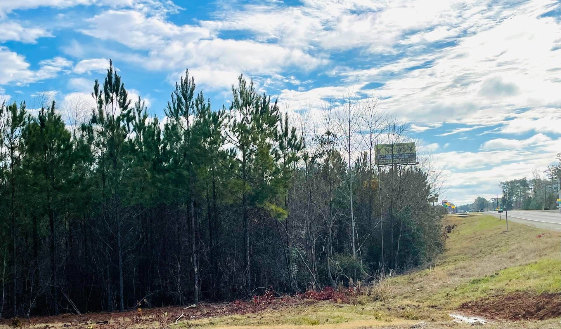 2.55 acres in Sabine Parish, Louisiana