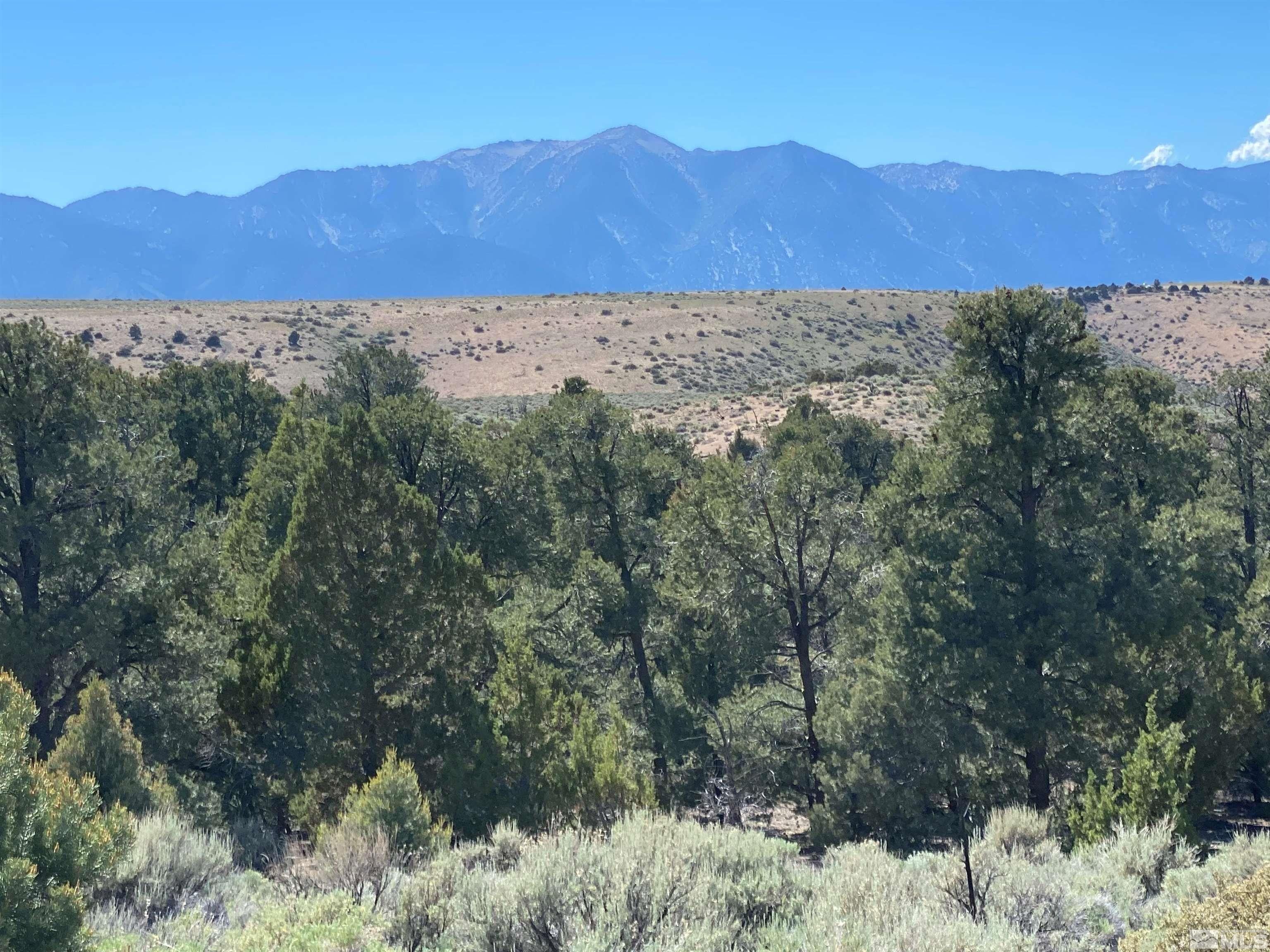 39 acres in Douglas County, Nevada