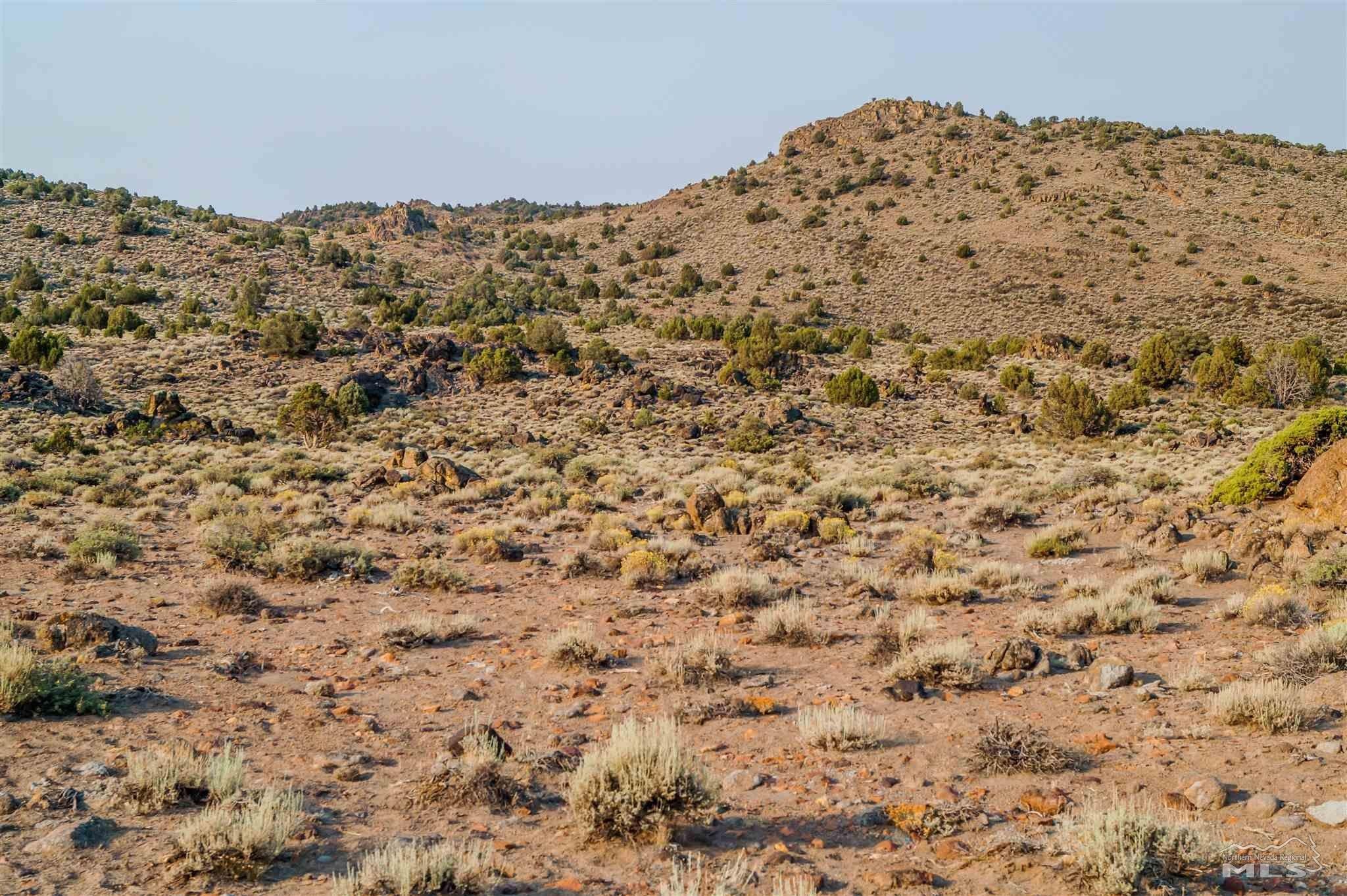 40 acres in Storey County, Nevada