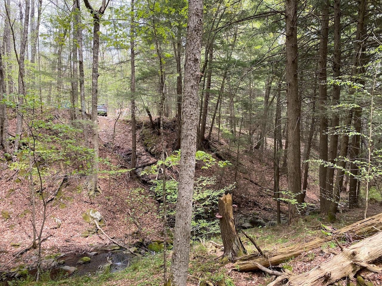 41 acres in Delaware County, New York