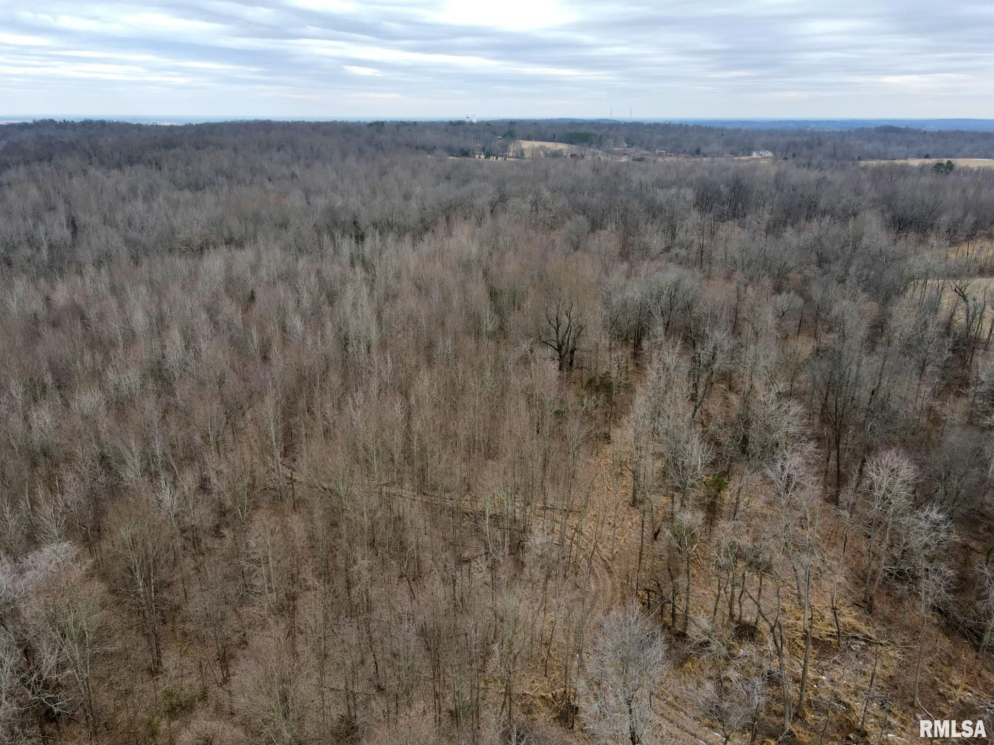 40 acres in Massac County, Illinois