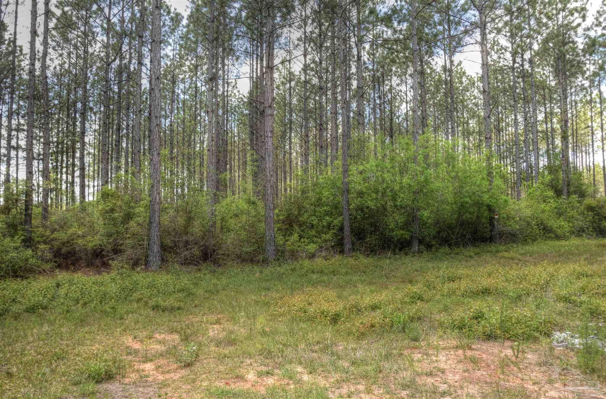 10 acres in Walton County, Florida