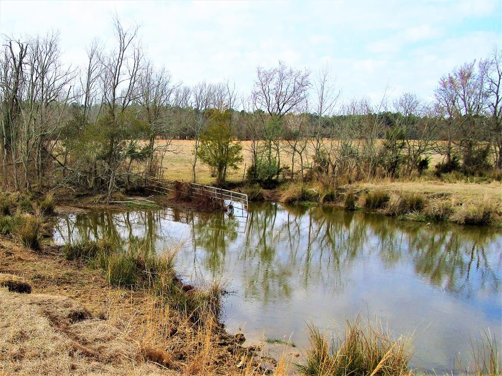 194 acres in Houston County, Texas