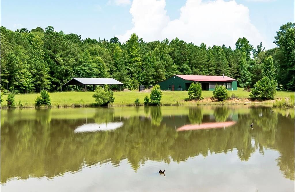 390.23 acres in Bullock County, Alabama