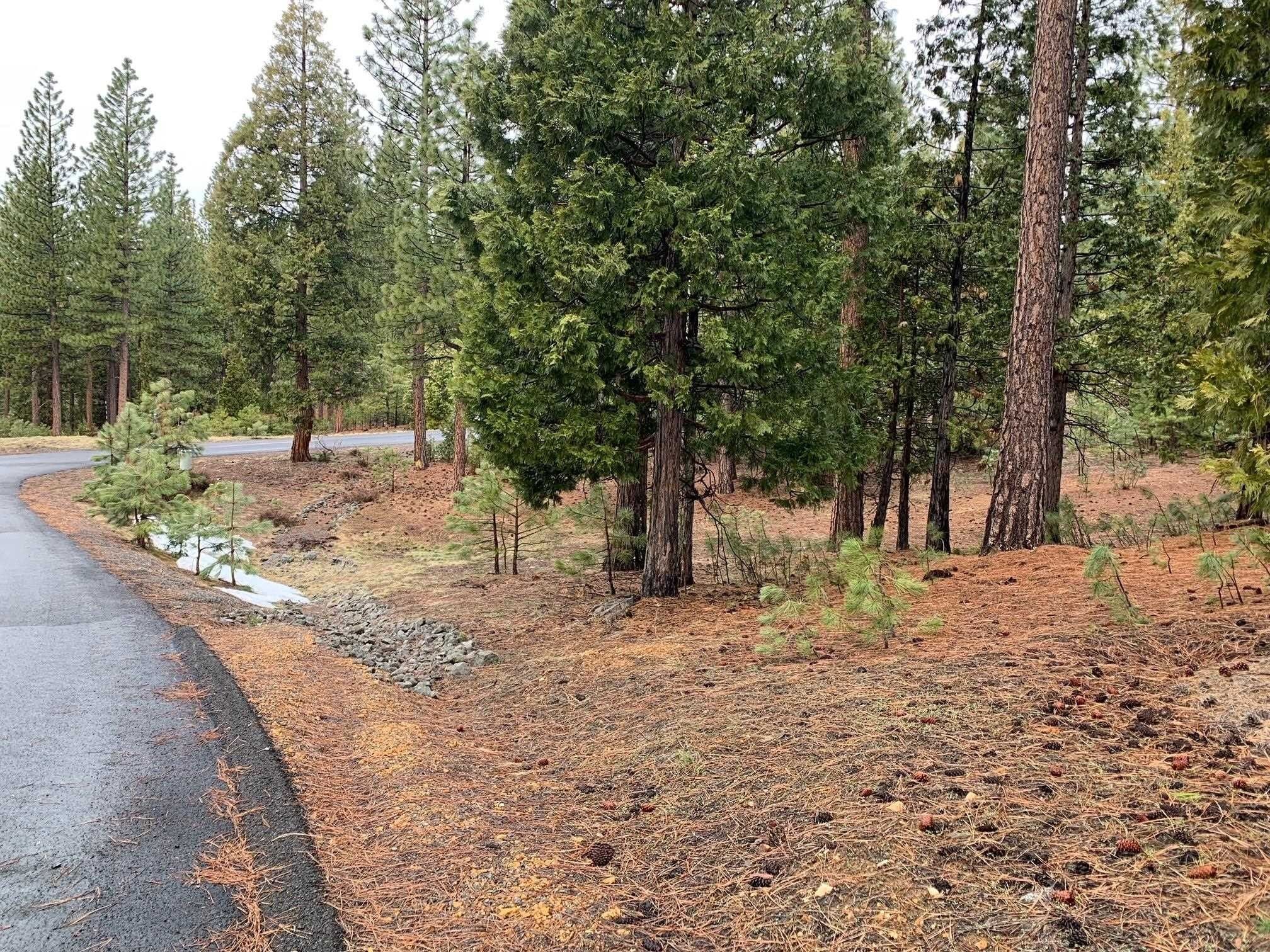 1.59 acres in Plumas County, California