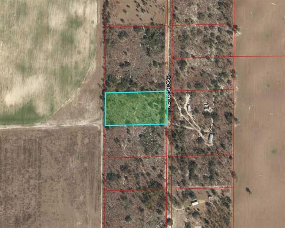 5 acres in Levy County, Florida