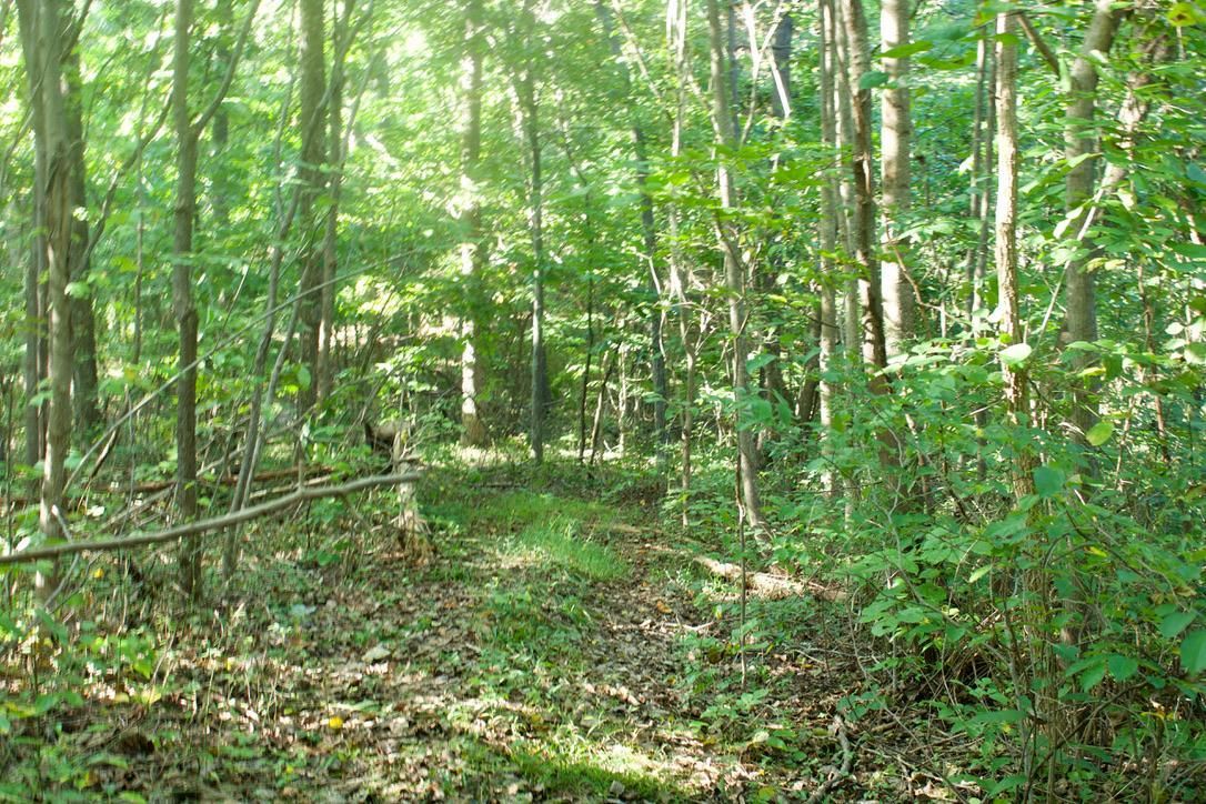 35 acres in Scioto County, Ohio