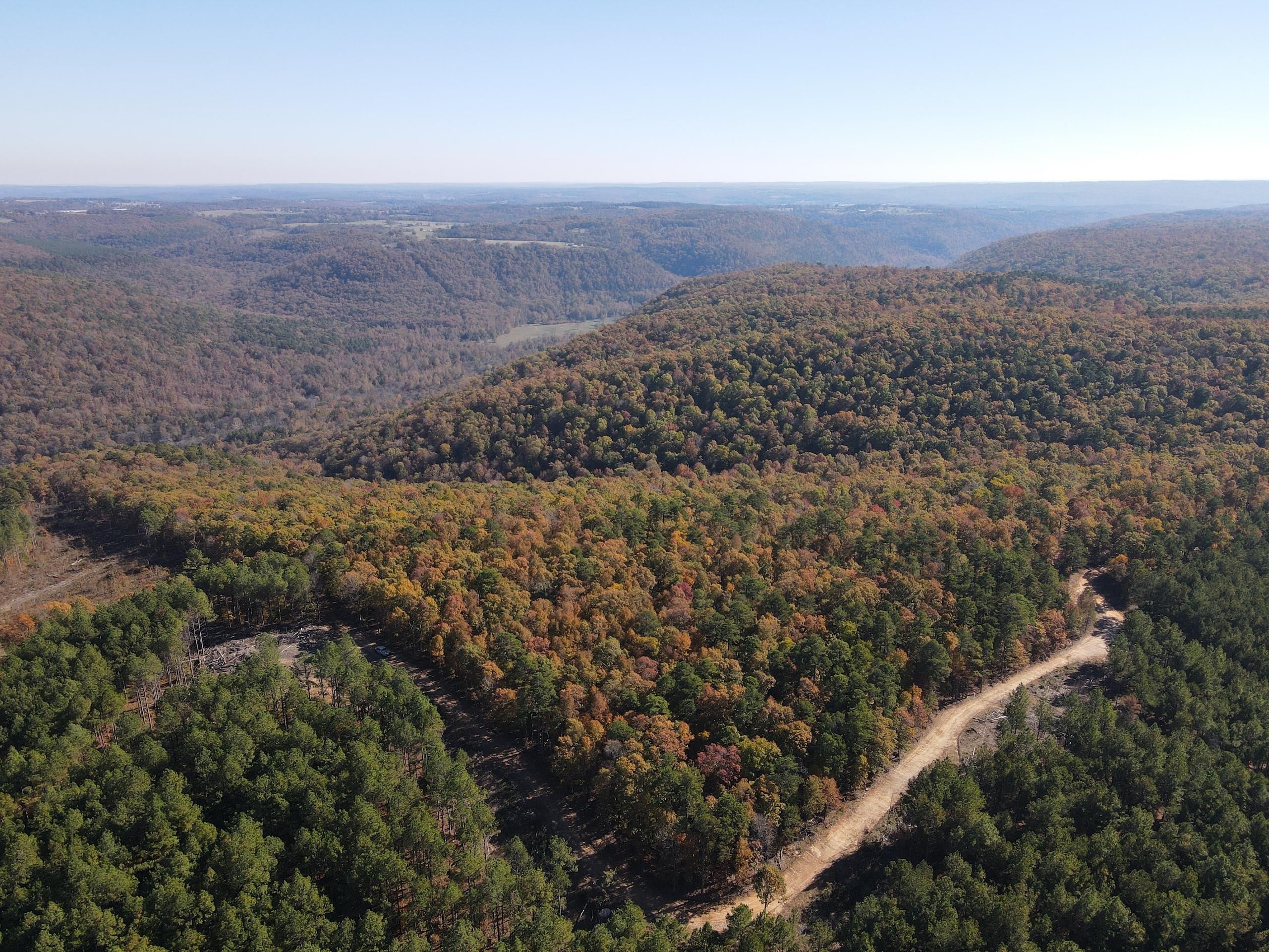 60 acres in Stone County, Arkansas