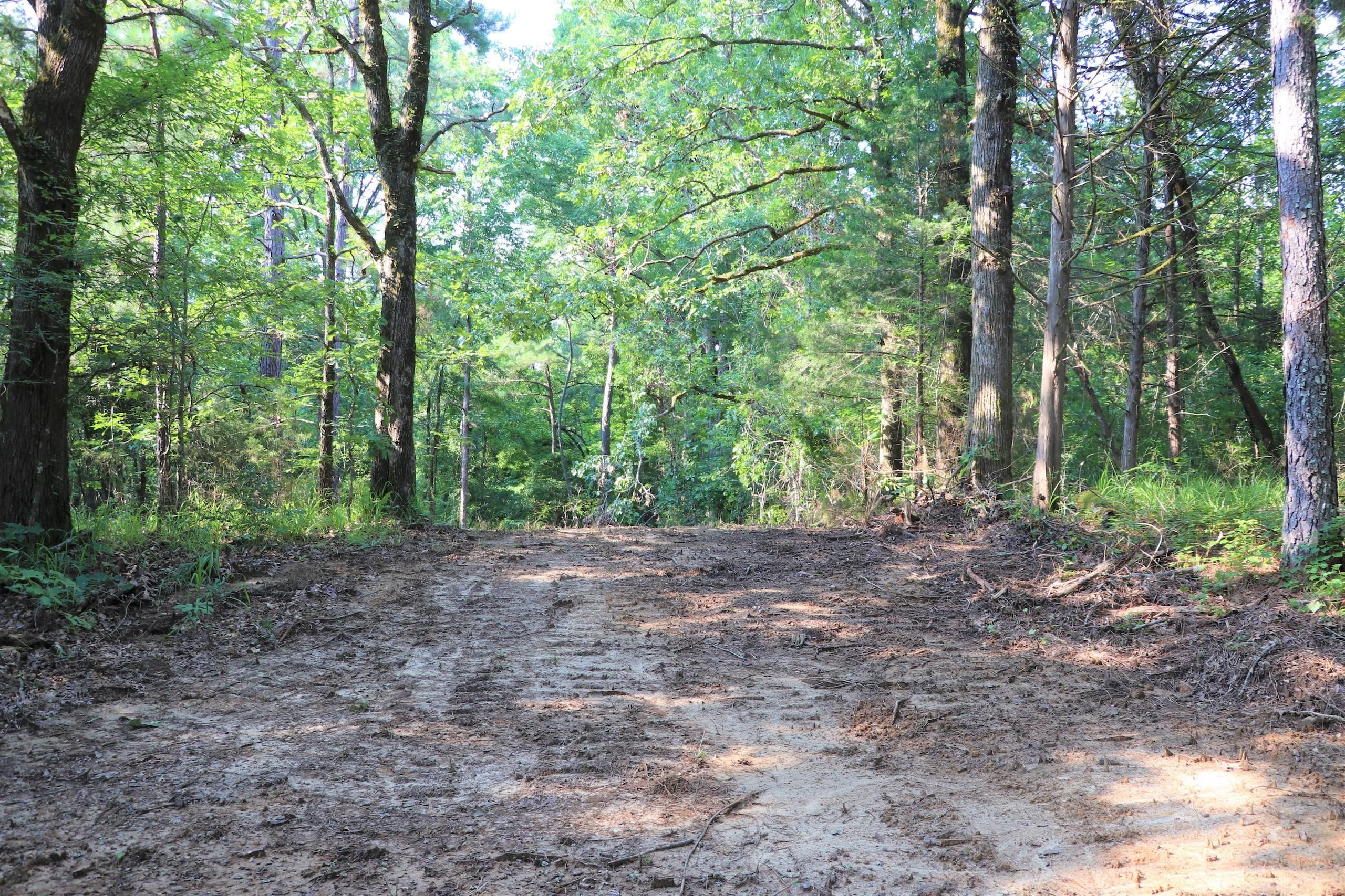 57 acres in Holmes County, Mississippi