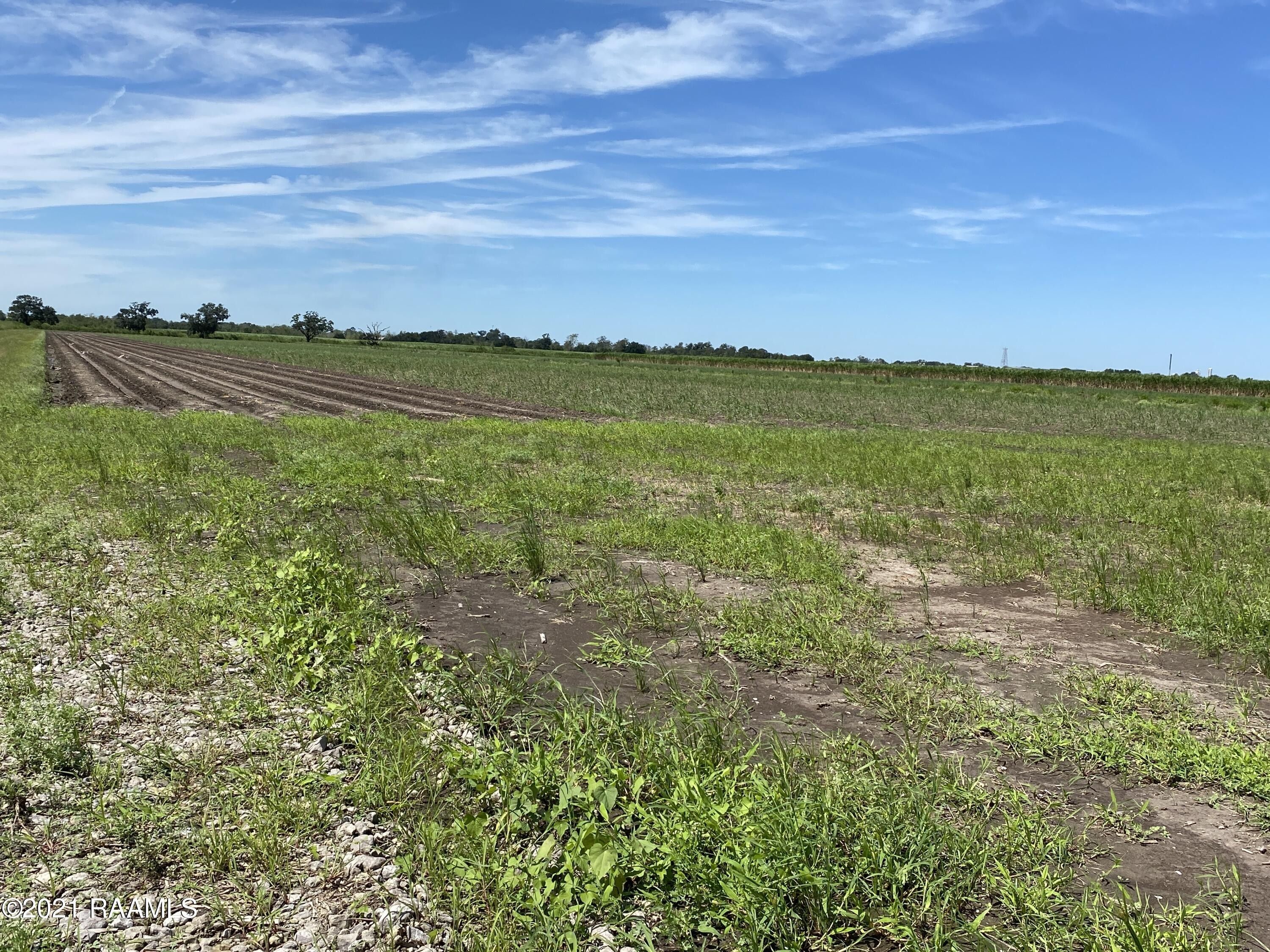 8.71 acres in Vermilion Parish, Louisiana