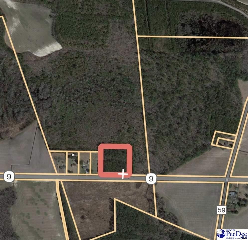 3 acres in Marlboro County, South Carolina
