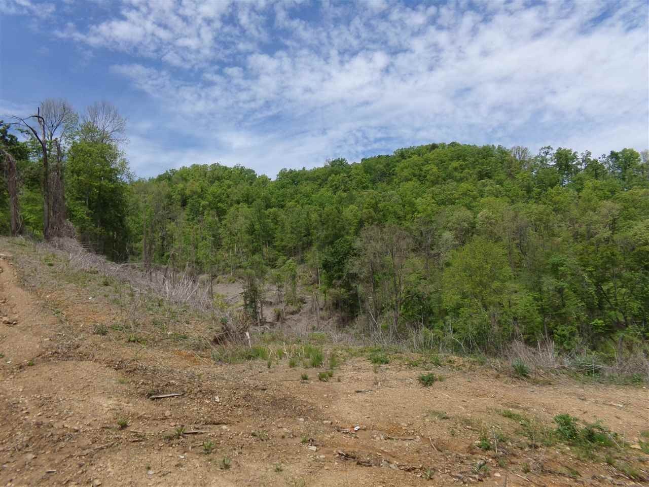 131 acres in Breathitt County, Kentucky