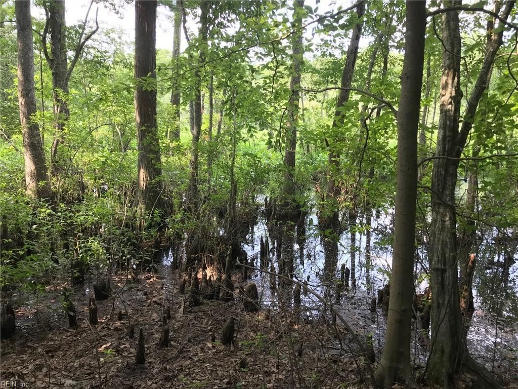 8.83 acres in New Kent County, Virginia